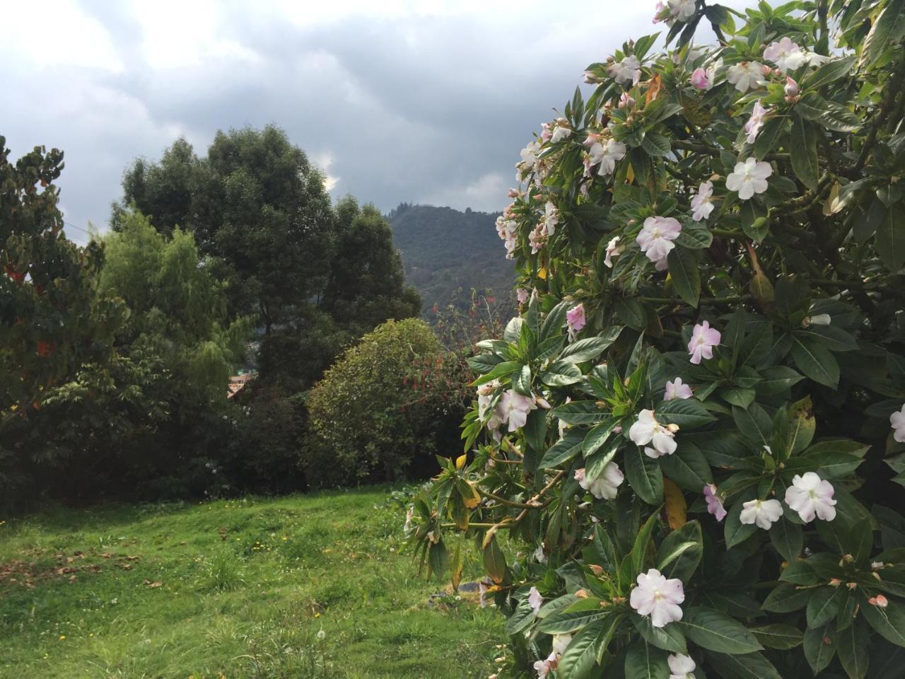 Titue Refugio , Cabanas La Calera Zewnętrze zdjęcie